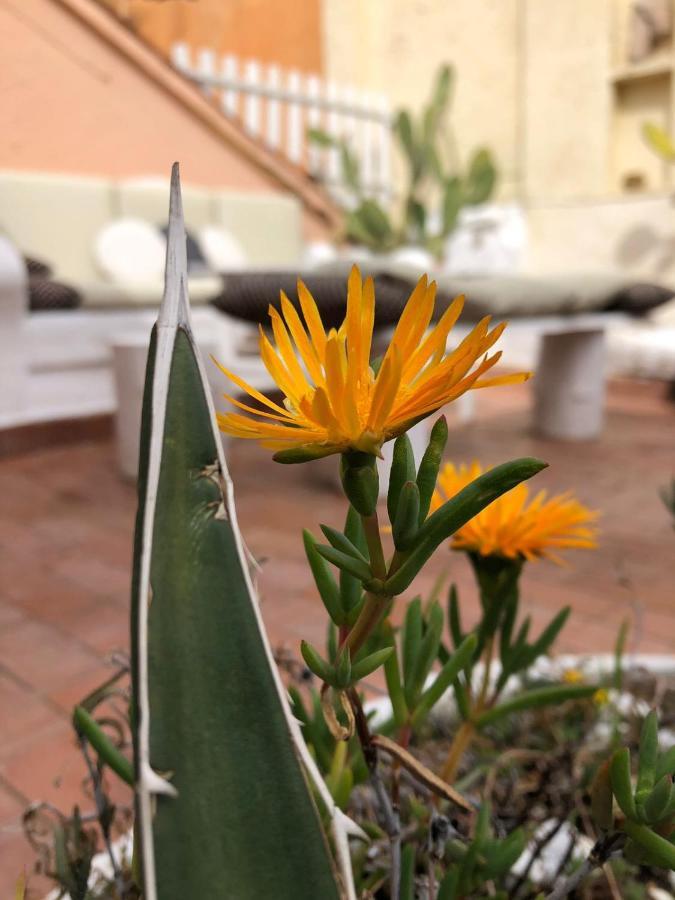 Ferienwohnung Navona Sunshine Big Terrace Rom Exterior foto